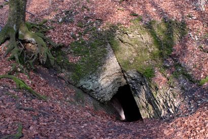 Höhle im Bielfelder Osning / © Ch. Venne