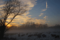 Ein kalter Wintermorgen / © M. Laabs