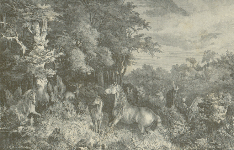 Senner-Pferde im Lippischen. Nach der Natur gezeichnet von Ferdinand Lindner